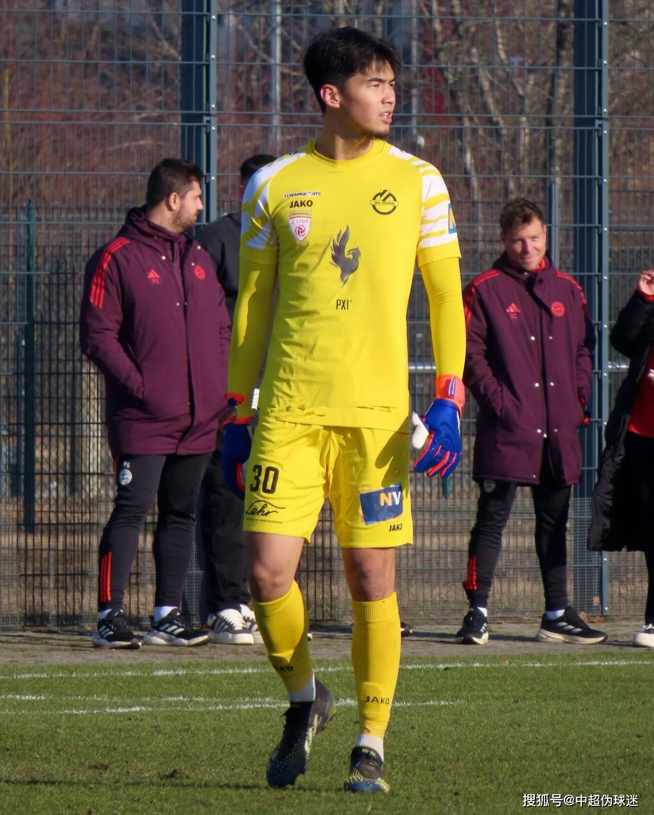 国游泳队带 国游泳队带